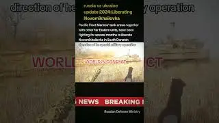 russia vs ukraine update 2024: Liberating Novomikhailovka.Pacific Fleet Marines' tank crews