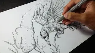 Птица