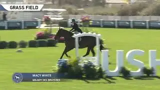 40,000 International Derby 2026