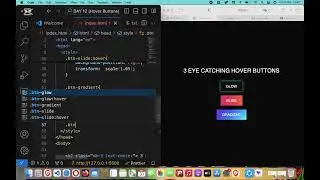 Day 12 | Learn how to create 3 beautiful button hover effects using only HTML AND CSS! 💡