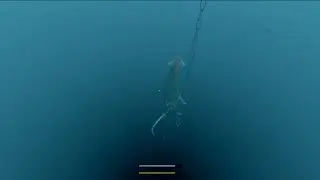 Stranded Deep Lusca The Great The Hardest Boss Fight Solo