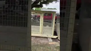 Custom 6x8x5 dog kennel