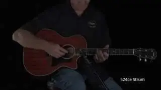 Taylor Guitar 