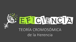 TEORÍA CROMOSÓMICA DE LA HERENCIA. Explicada con su Desarrollo Histórico