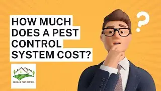 How much does a pest control system cost