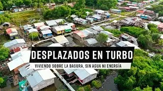 De Cacarica a Turbo, la historia de una familia negra despojada | Colombia +20