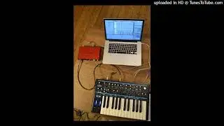 stepteam + prettifun + ivvys + 1600j + audio 2025 type beat 