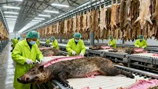 Inside The Wild Boar Leather Factory - From Wild Boar Skin to Luxury Shoes Wallet,Bag (Full Process)