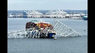 Comparative Negligence & the Baltimore Bridge Collision (Business Law 101, Episode 216)