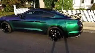 Mustang complete in Haloefx True Gloss using ZTS HYPERSHIFT pearls.
