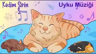 Calming Music For Cats -Kedileri Uyutan M&uuml;zik | Help Your Anxious Cat Relax with This Soothing Music