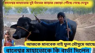 বানেশ্বর মাহাতোর কাড়ার জোড়া পৌঁছে গেছে 🔥 নতুন কাড়ার জোড়া বটে মানবেক নাই।