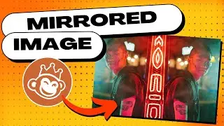 How To SPLIT MIRROR IMAGES in PicMonkey