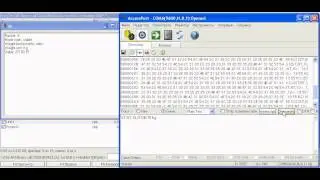 Example library call weighing terminal CI5010RS422.DLL in C++Builder