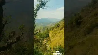 जय देवभूमि जय उत्तराखंड #trindingshorts #wayralshorts #galsri #todexperience #indayadventure #happy