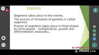 oogenesis ovum structure overy