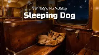 Sleeping Dog 13: Fresh Start Jazz Calm Instrumental Music for a New Beginning