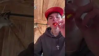 How to use a mouth call for turkeys #jesus #hunting #turkeyseason