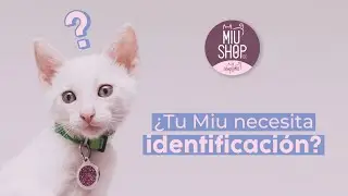 MIUSHOP: ¿Tu Miu Necesita Identificación?