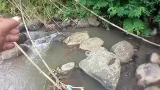 Microfishing wader dan uceng umpan go potato