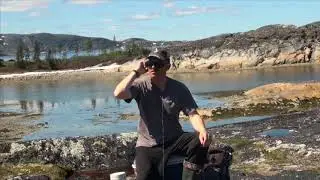 Retracing the Steps of Junius Bird