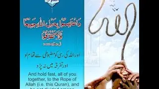 Mufti Shahmeer(Chuka Haq)