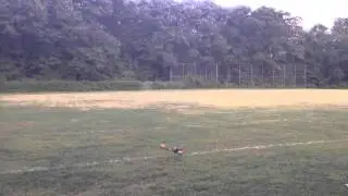 Simplecopter - tricopter - acrobatics