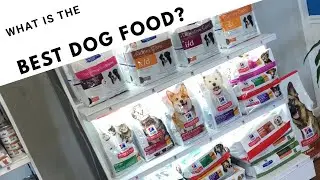 What&rsquo;s the best dog food Vet recommendation