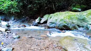 Flowing River Water for Sleep Ease