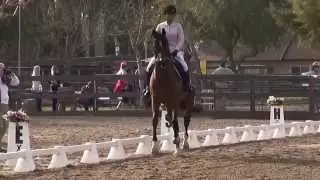 Griffin & Ingrid Baker – Training Level, Test 2 - PGF Dressage Schooling Show January 2015
