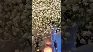 my favorite flower baby Breath.#flowers #viral