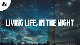 Cuervo, Blaze U & Niccin - Living Life, In The Night (Techno Remix)