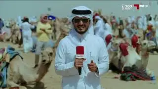 الحصيلة ( لختامي الوثبة ) 2022 - 5 - 4