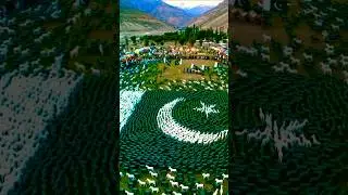 24,000 Tiny Horses Create 3D Pakistani Flag in Snow Valley | Azadi 2025 Special #ternding #foryou