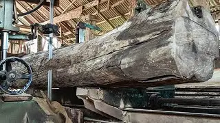 The charm of black teak wood with beautiful and rare grain