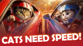 Cats Need Speed!! Legends of the Orange Track.
