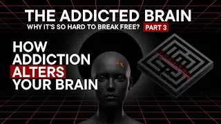How Addiction Alters Your Brain | The Addicted Brain: Part 3