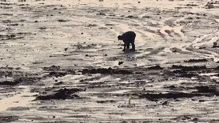 World's Highest Tides