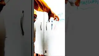 Concept of Refraction🔴Refraction of Light🔴Refraction Experiment🔴#youtubeshorts #Sunnysir