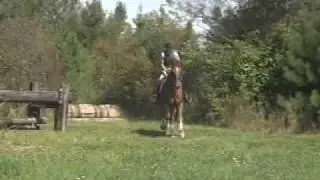 GillieX-countryshort.mpg