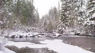 Calm River Sounds, Beautiful River in Winter Time No Ads, Snowy Forest, 8h Long, 4K UHD.