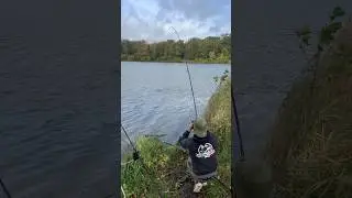 Sensation 🎣 #fishing #fish #carp #carper #carpfishing #carpiste #carpy #fisher #carpyshots