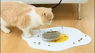 Pet Food Mat Silicone Poached Egg Design