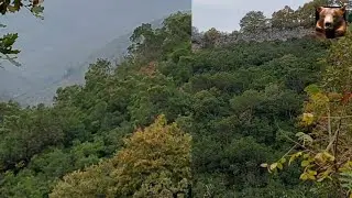 GÖNEN ALACAOLUK KALESİ AYI KORKUSU🐻Fear of the calaoluk castle bear/الخوف من الدب قلعة بييد