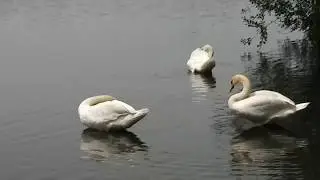 A Walk Around Southards Pond, Babylon Village, NY