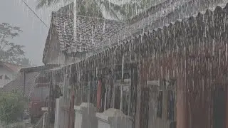 Fall Asleep Faster 🌧️ Real Rain Sounds on Roof for Deep Sleep