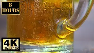 Beer Glass Background Wallpaper Screensaver 8 HOURS 4K