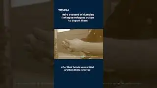 Индию обвиняют в сбросе беженцев рохинджа в море