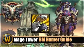 Mage Tower Timewalking BM Hunter - Trefffsicherheit Guide + Gear/Consumables Tipps