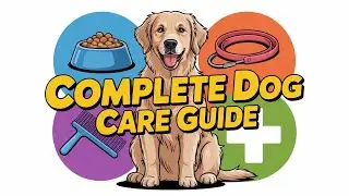 How to Care for Dogs: Complete Beginner&rsquo;s Guide (Feeding, Health, Training & Setup)